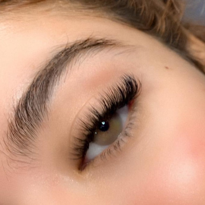 Ágata Iris (Lentes de Duración Anual)