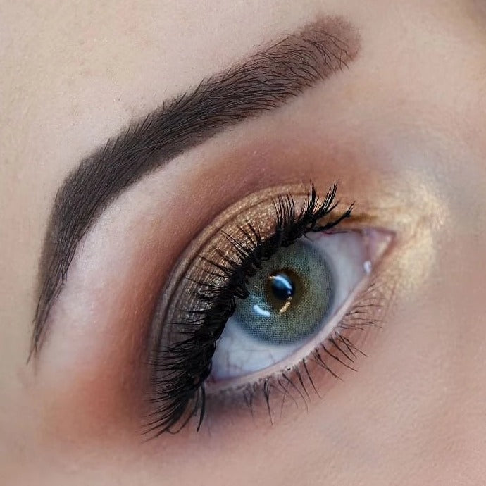 Allure Dream Gray (Lentes de Duración Anual)