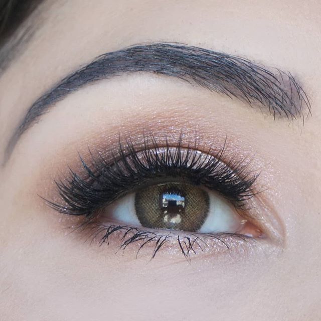 Halo Brunette (Lentes de Duración Anual)