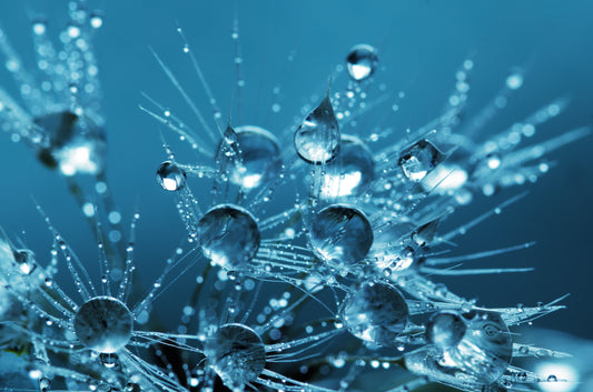 Lentes de Hidrogel de Silicona; qué son, características y beneficios