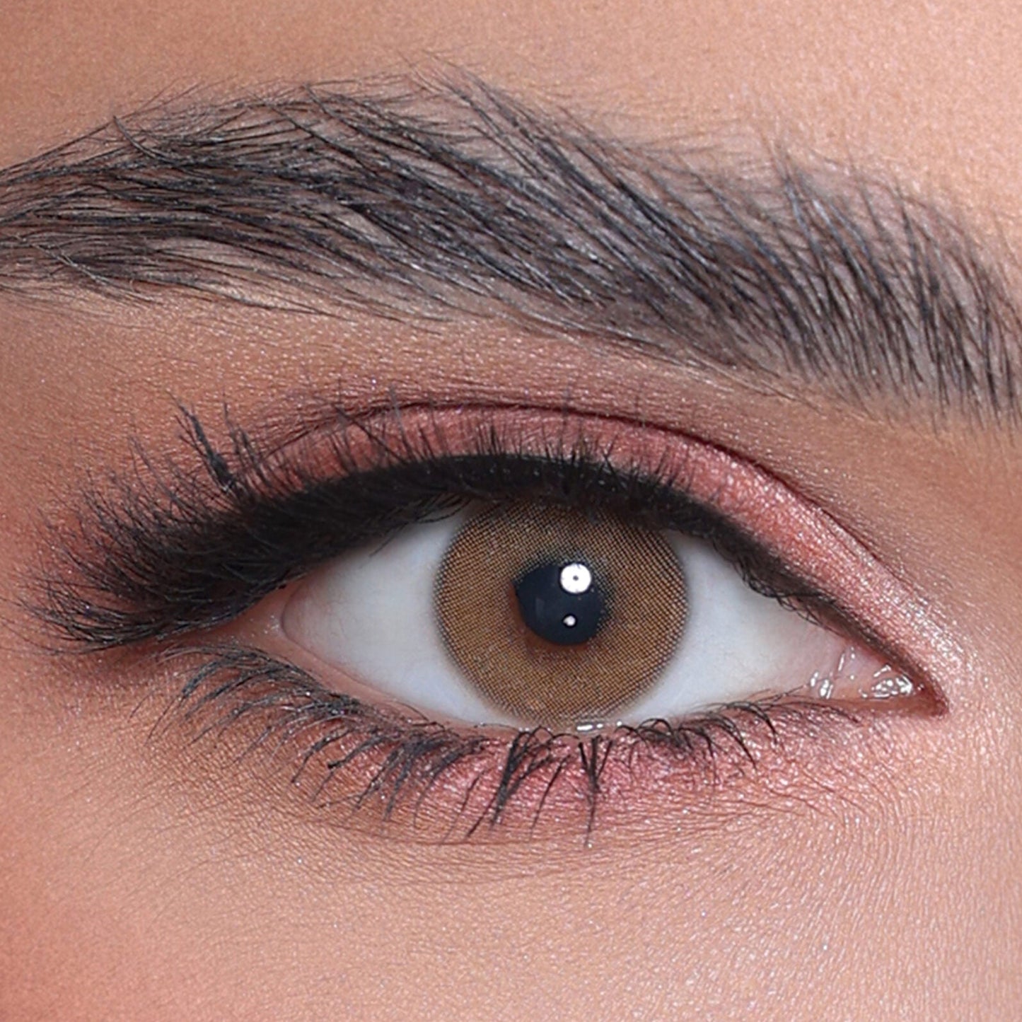 Gemso Brown (Lentes de Duración Anual)