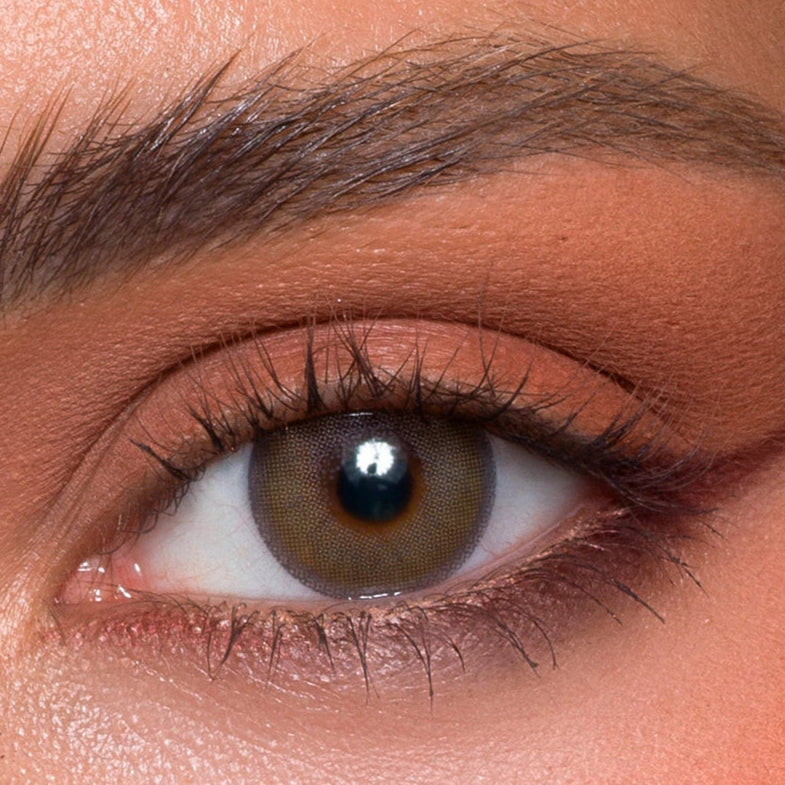 Arabic Coffee (Lentes de Duración Anual)