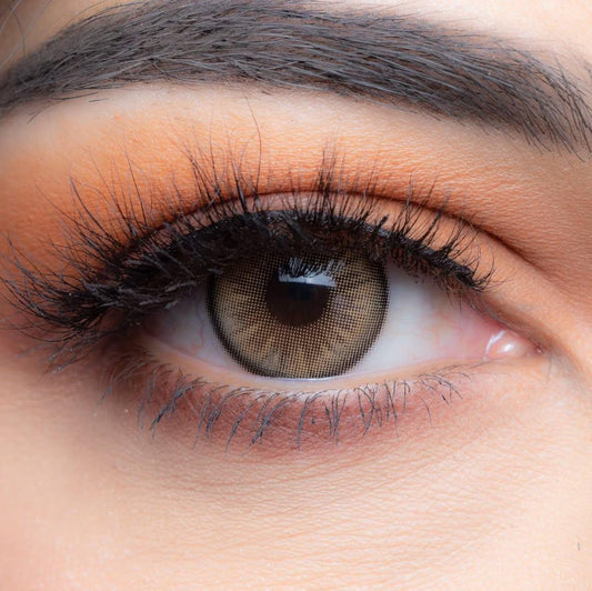 Dolly Brown (Lentes de Duración Anual)