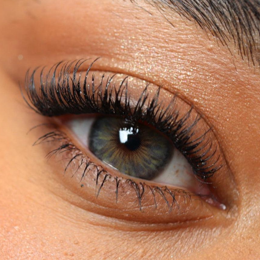 Eloise Gray Green (Lentes de Duración Anual)
